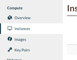 ../_images/instances-tab.png