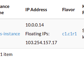 ../_images/set-floating-ip.png